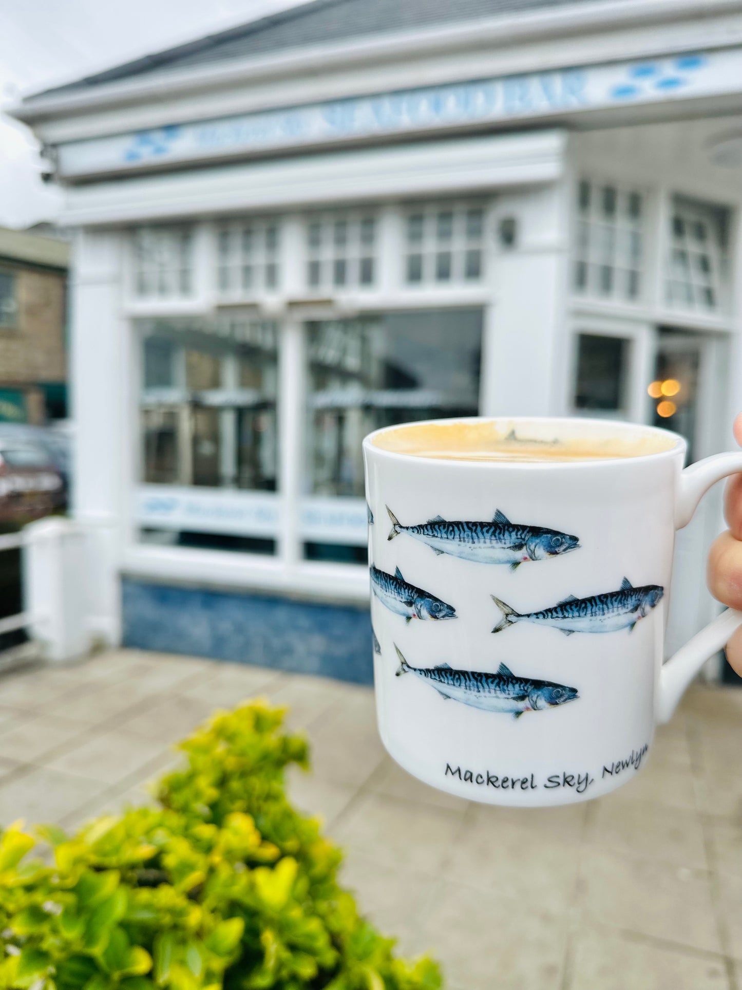 Mackerel Sky, Newlyn Bone China multi mackerel mug