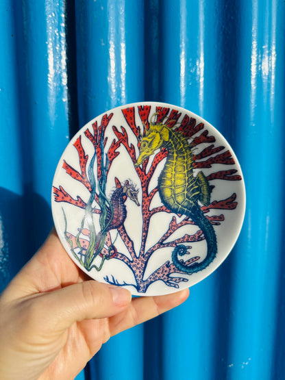 Cream Cornwall Bone China Nibbles Dish - Seahorse Reef