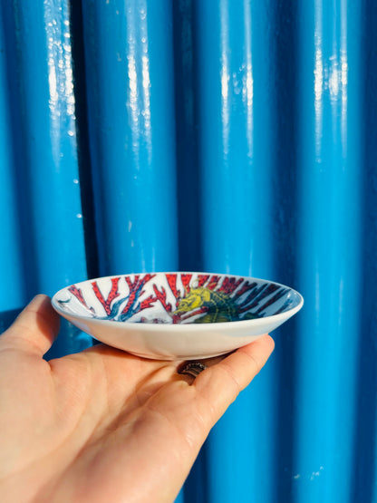 Cream Cornwall Bone China Nibbles Dish - Seahorse Reef